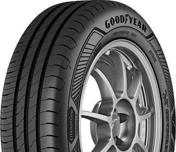 GYEGCOMPACT2