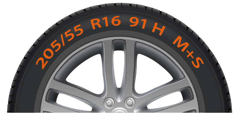 Reifensuche abbildung eine Reifen mit 205 55 R1